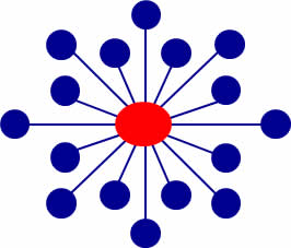CTN snowflake logo