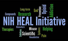 HEAL initiative logo