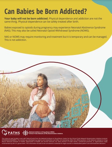 Screenshot of flyer #1 showing a pregnant indigenous woman in a field of tall brown grass holding her round belly and looking to the left, wind blowing through her hair.