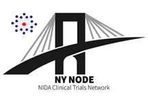 New York Node logo